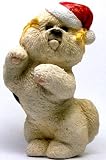 Bichon Frise