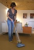 Ewbank Carpet Shampooer