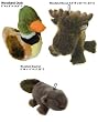 SET OF 3 - Plush Woodland Animal Squeaky Toys