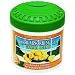 Osmegen, Inc. 9600 Natural Magic Odor Absorbing Gel