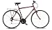 Townsend Toulouse 20 Frame 18 Speed Mens Bike