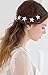 Crystal Starfish Hair Pins Jewel in Silver Tone for Women Girl Bridal Wedding Bouquet Prom and Beach Theme Party (Set of 6)
