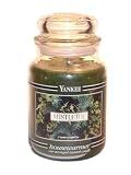 22OZ MISTLETOE YANKEE CANDLE 41y43MgaTHL. SL160 22OZ MISTLETOE YANKEE CANDLE