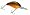 Org Belly Craw