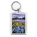 Irises, Willow and Fir Tree, 1993 (oil on canvas) by Timothy Easton - Acrylic Keyring - Art247 - Standard Size