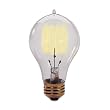Bulbrite 134020 - 40 Watt Victorian Antique Replica Light Bulb