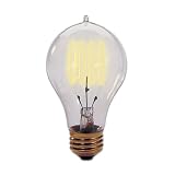 Bulbrite 134020 - 40 Watt Victorian Antique Replica Light Bulb