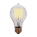 Bulbrite 134020 - 40 Watt Victorian Antique Replica Light Bulb