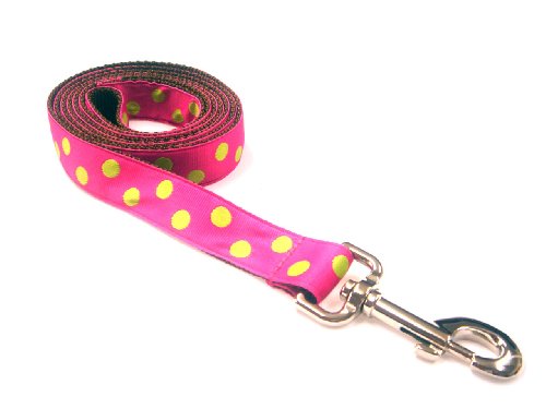 Large Fuchsia/Lime Dot Dog Leash - Nylon Webbing: 1
