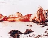 DARYL HANNAH 24X36 COLOR POSTER PRINT