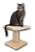Pet Supplies : K&H Thermo-Kitty Furniture Warmer
