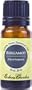 Bergamot 100% Pure Therapeutic Grade Essential Oil- 10 ml