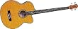 Michael Kelly Dragonfly 4-String Acoustic-Electric Bass, Transparent Black