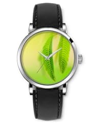 SPRAWL Aanalog Fashion Series Silver Ladies Watches of Genuine Black Leather Strap,Unique Wrist Watch for Women Girls Designed with green leaves
