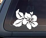 Hawaiian Flower Car Decal / Sticker