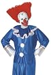 Adult Bozo Clown Wig - Adult Std.