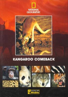 KANGAROO COMEBACK DVD