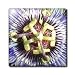 Christs Crown - flower, passion flower, purple, nature, passiflora, easter, christs thorn - 6 Inch Glass Tile