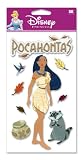 Ek Success Disney DJBCM24 Pocohantas 3-D Sticker