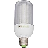 LED Dimmable House Hold Light Bulb: 40 watt warm white incandescent replacement bulb Color: Warm White