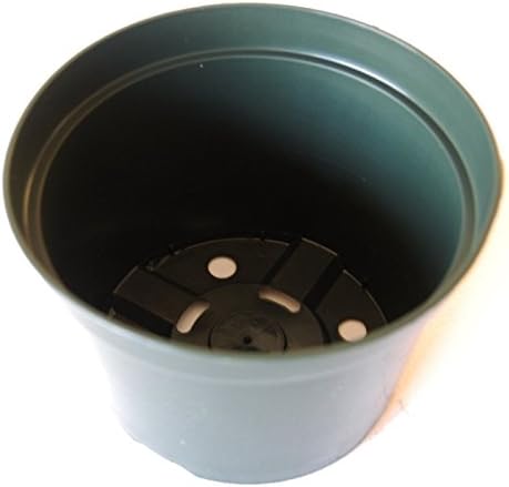 20 Green 6" 'Azalea Style' (6" x 4.25") injection molded plant pots