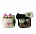 Cat Zoocube (Colors Will Vary)