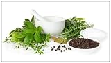 Natural Hair Loss Cures For Men and Women