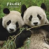 Pandas 2008 Wall Calendar