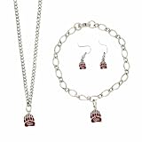NCAA Montana Grizzlies Jewelry Set