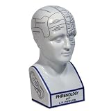 Authentic Models Porcelain Phrenology Head Bust