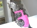 Joybies Hot Pink Piddle Pants(TM) for X Small Cat (Measuring 11"-13" From Collar to Base of Tail)