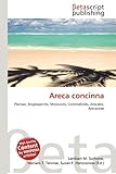 Areca Concinna-