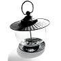 Strathwood Iron and Glass Globe Bird Feeder with Gray Patina Finish