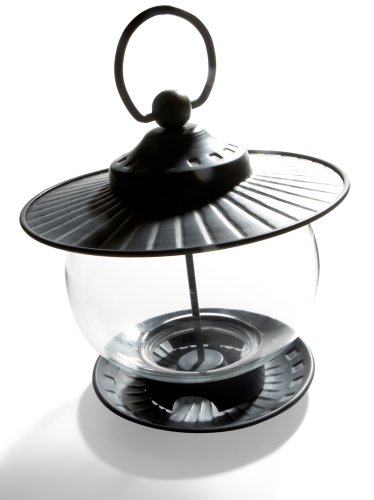Childrens Toyshop  Outdoor Living : Strathwood Iron and Glass Globe Bird Feeder with Gray Patina Finish