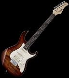 CORT G SERIES G210-FT-TAB w/FIGURED TOP ELECTRIC GUITAR