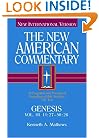 The New American Commentary Genesis 11:27-50:26, Volume 1B