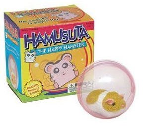 Hamusuta the Happy Hamster in Ball