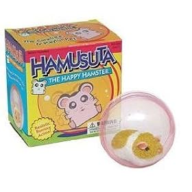 Hamusuta the Happy Hamster in Ball