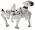 Mini Robopet