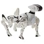 Mini Robopet
