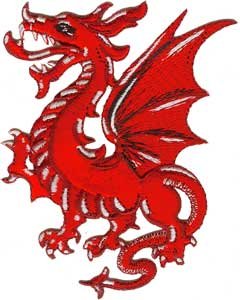 Dragons - Chinese Fire Breathing Red Mystical Dragon Logo Patch
