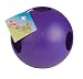 Jolly Pet 10" Teaser Ball Purple