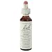 Nelson Bach USA - Sweet Chestnut, 20 Milliliter liquid