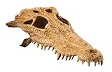 Exo Terra Crocodile Skull Terrarium Décor for Reptiles
