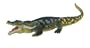 Carnegie Collection- Deinosuchus