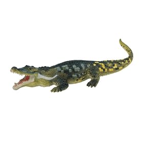 Carnegie Collection- Deinosuchus