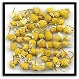 Egyptian Chamomile (Special Selection), 1lb.