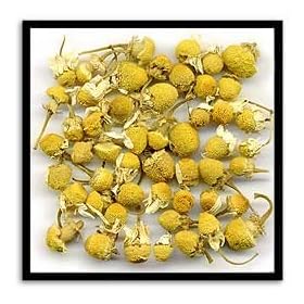 Egyptian Chamomile (Special Selection), 1lb.