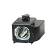 Electrified BP96-01653A Replacement Lamp with Housing for Samsung TVs - 150 Day Electrified Warranty