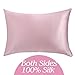 Yanibest Silk Pillowcase for Hair and Skin, Standard Queen King Pillow with Hidden Zipper, Soft Breathable Smooth Cooling Pillow for Sleeping